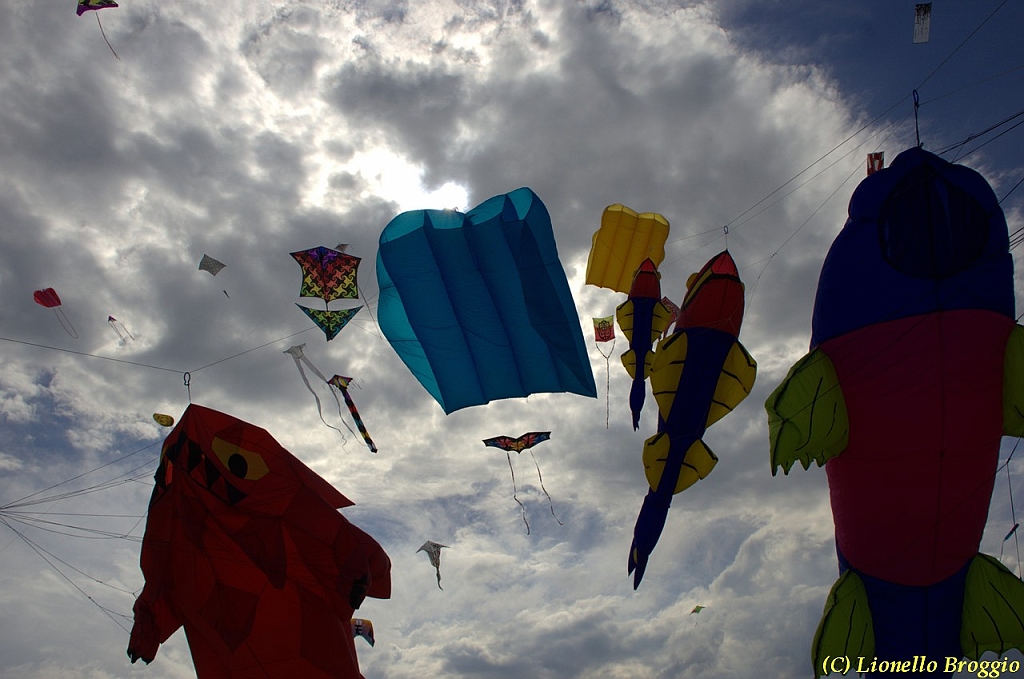 32 FESTIVAL CERVIA 2012 - 290.jpg